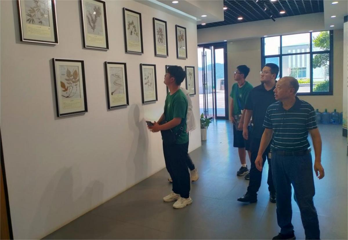 何经理引导团队成员参观欣中医药标本展厅(伟徳国际bevictor1946 供图)(1)